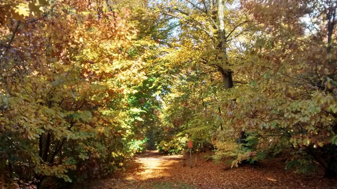 Charme Camping Vorrelveen Beilen Zewnętrze zdjęcie